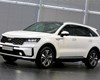 /slike/rapex_slike_arhiva/g2025/m02/kia sorento.jpg